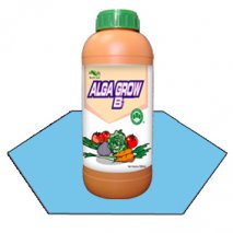 ألجا جرو بورون