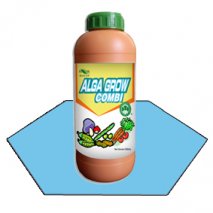 ألجا جرو كومبي